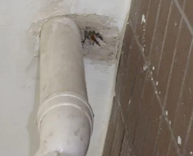 德令哈漏水检测哪家好